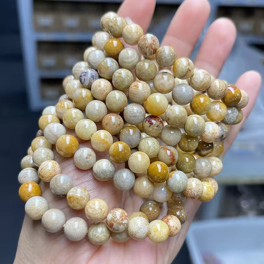 Coral Fossil Crystal Beads Bracelet